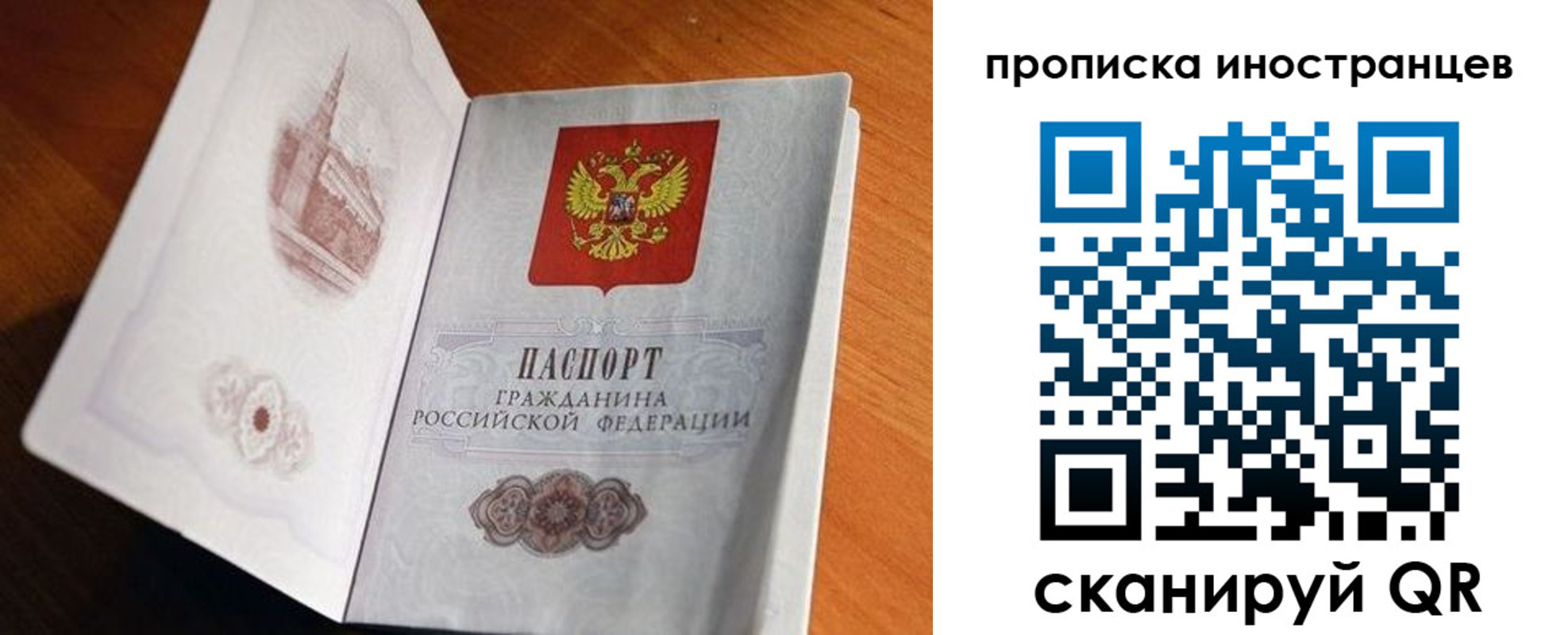 прописка 2025 в Нелидово